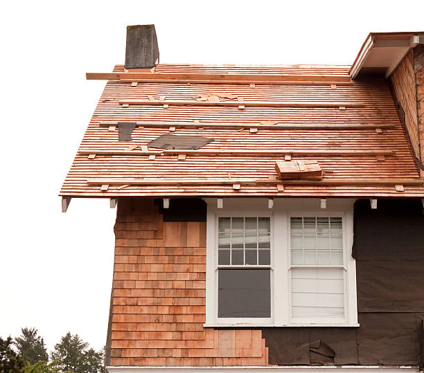 Best Siding Maintenance  in Chamberlain, SD